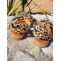 Sandales femme clou Elora leopard