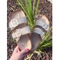 Mules femme Fanny dorées